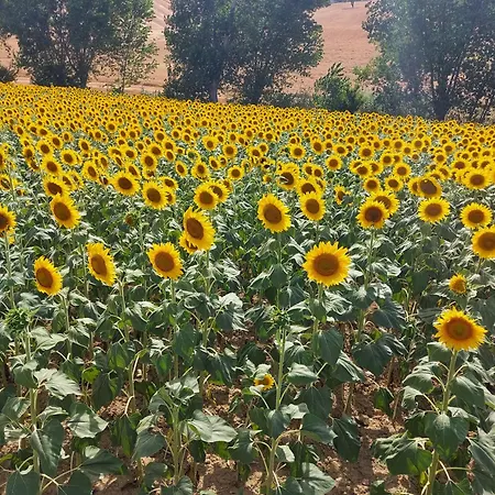 Mandalay & Séjour à la campagne